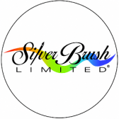 Silver Brush