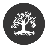 The Dragontree